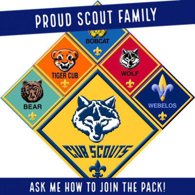 Cub Scout Pack 161